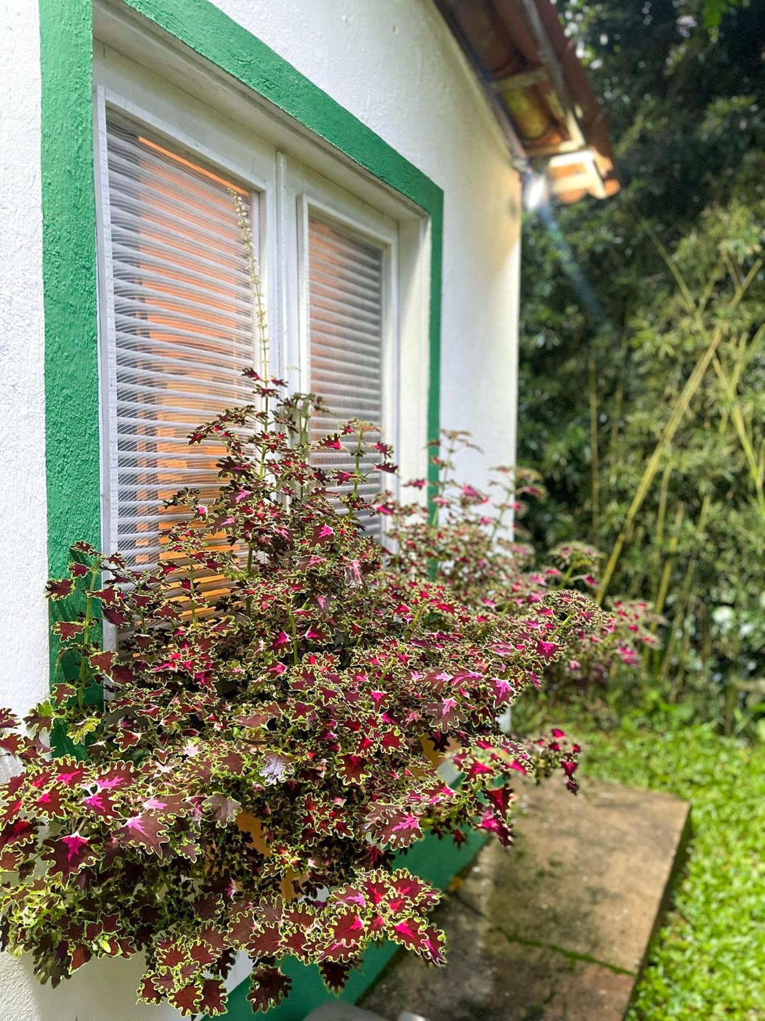 Hotel Olho D'Água Pousada Guaramiranga Esterno foto